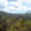 Northern Territory