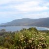 Tasmania