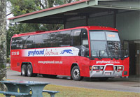 Greyhound Bus Australia