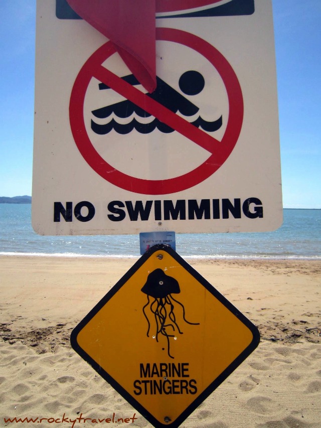 marinestingers