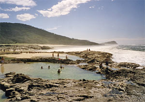 Champagne-Pools, Fraser Island