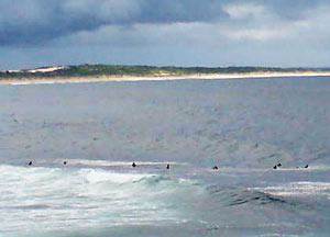 Cronulla-Beach
