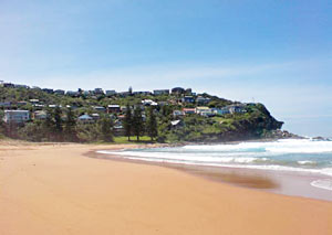 Whale Beach