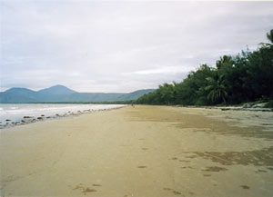cape-tribulation