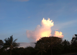 Darwin Australia