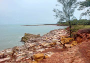 The East Point Reserve