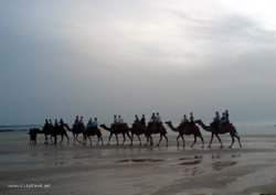 camelridecablebeach