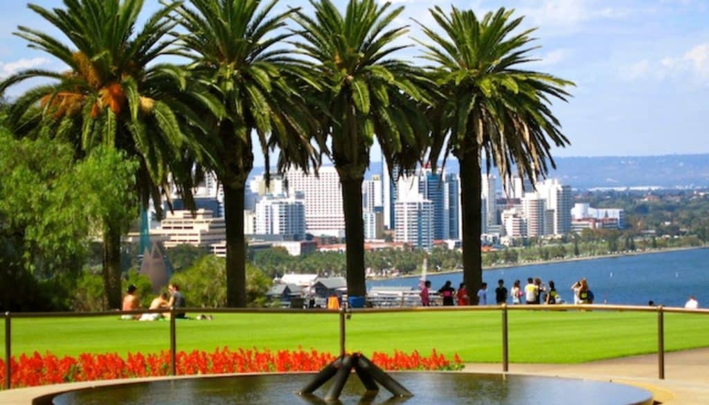 Kings Park Perth Why you shall not miss out on this park