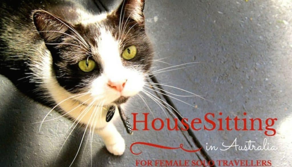 My experience Housesitting in Australia as solo traveller