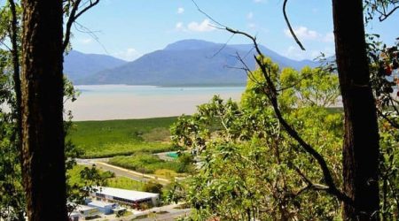 The View from Mt. Whitfield Lookout in Cairns
