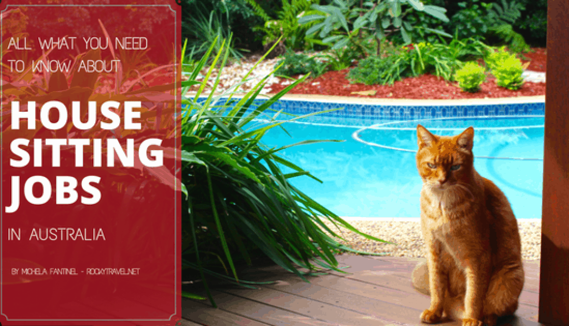 All what you need to know about House Sitting Jobs