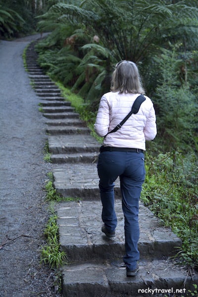 Dandenong Ranges 1000 Steps Track Dandenong Ranges 1000 Steps Track