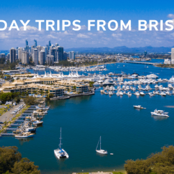 DAY TRIPS FROM BRISBANE BLOG POST 12 Best Day Trips From Brisbane