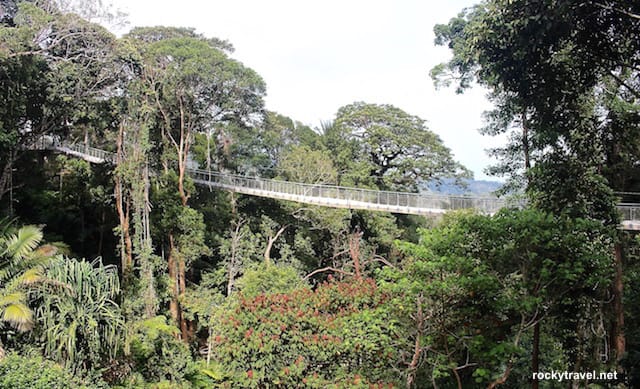 The Habitat Penang Hill Canopy Walk