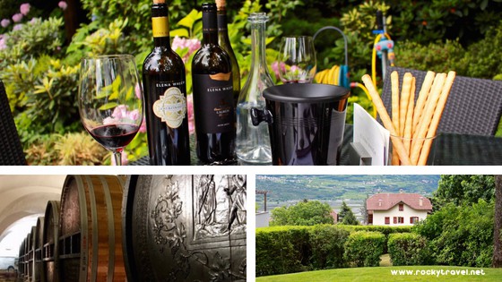 Elena Walch Winery in Bolzano