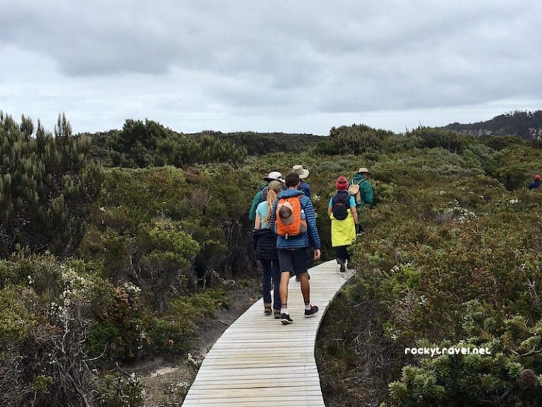A Guide to Walking The Three Capes Track in Tasmania