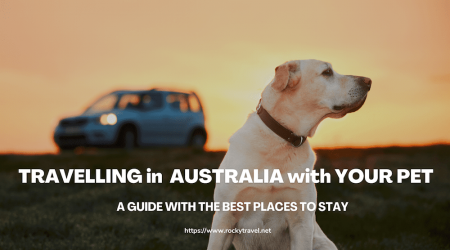 Trave with your pet in Australia