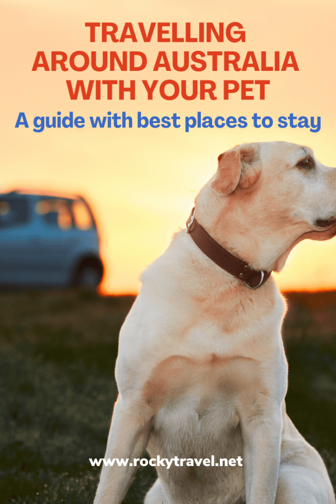 Where To Stay With Your Pet When Travelling Around Australia