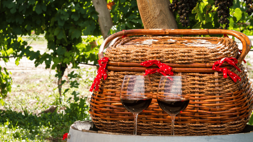 Picnic in Vigna Sardinia Picnic Vineyards Sardinia